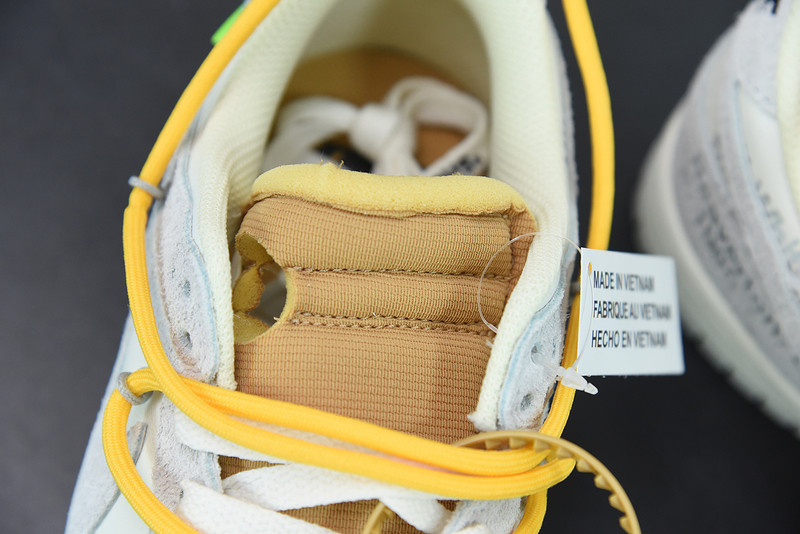 of x dunk low