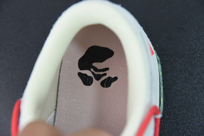of x dunk low
